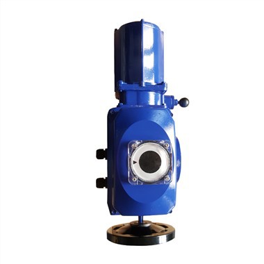 EZ Qourteer-turn Electric Actuator yang tahan cuaca